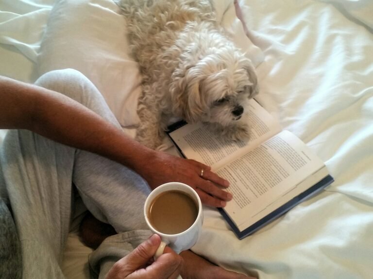 Pets acting like humans describes cute dog on a bed with Active babyboomer drinking coffee.